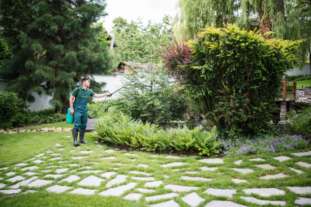 Best Wasp Removal Services  in Los Altos Hills, CA