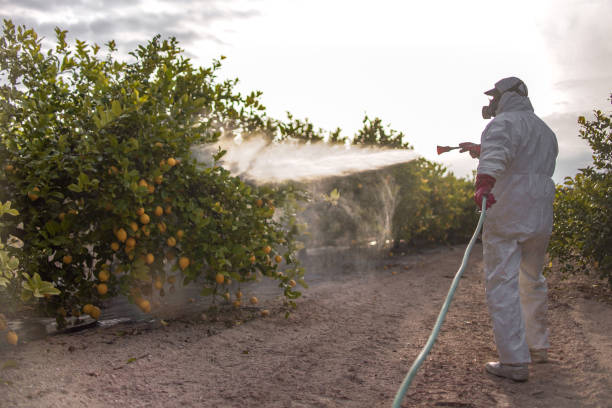 Best Cockroach Control Services  in Los Altos Hills, CA