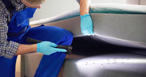 Best Ant Control Services  in Los Altos Hills, CA