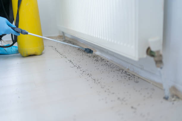 Best Pest Removal Services  in Los Altos Hills, CA